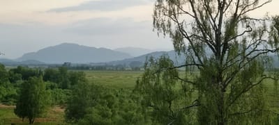 Photograph from Around Insh